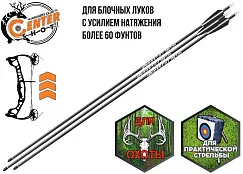 Стрела лучная карбоновая Centershot Anarchy 300