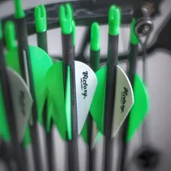 Стрела лучная карбоновая Victory VAP Sport 300