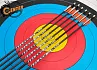 Стрела лучная карбоновая спортивная Centershot Flash 1200 оперение Shield 2"