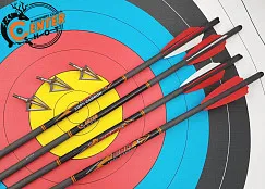 Стрела арбалетная карбоновая Centershot Bolt 20", оперение Q2i Fusion X-2 3", латунный инсерт