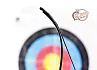 Лук традиционный Rolan Snake 60" 26#